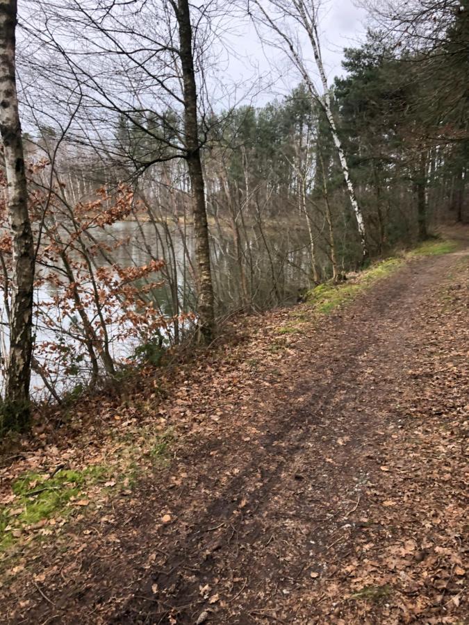 Vivere Villa Aan de Wolfsberg Luaran gambar